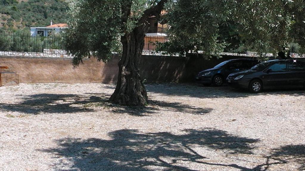 Villa Maro Skopelos Zewnętrze zdjęcie